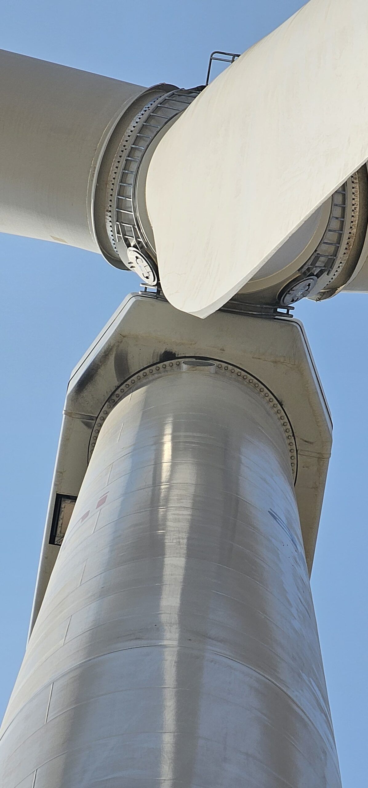 Blades scaled
